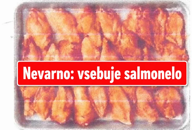 Slika članka