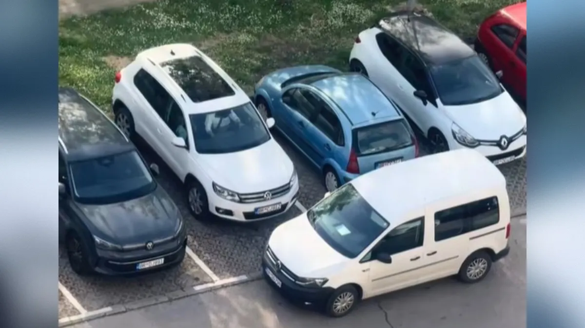 Slika članka