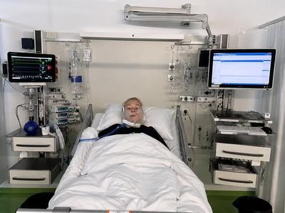 Slika članka