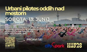 Slika članka