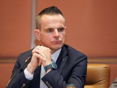 Slika članka