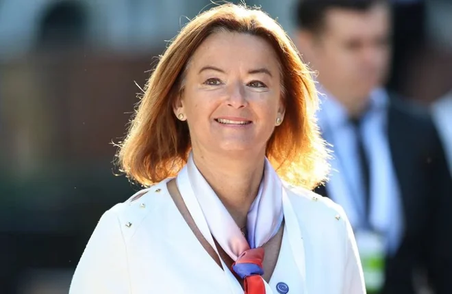 Slika članka