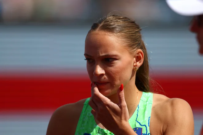 Slika članka