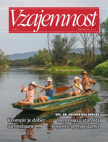 Slika članka