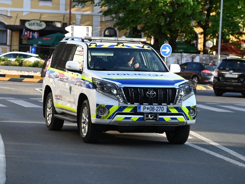 Slika članka