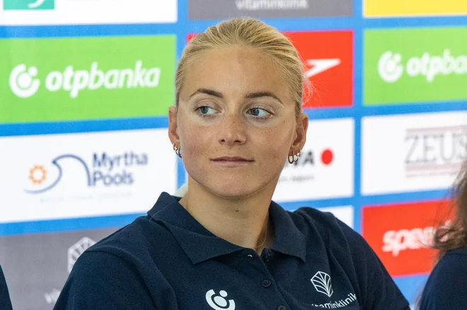Slika članka