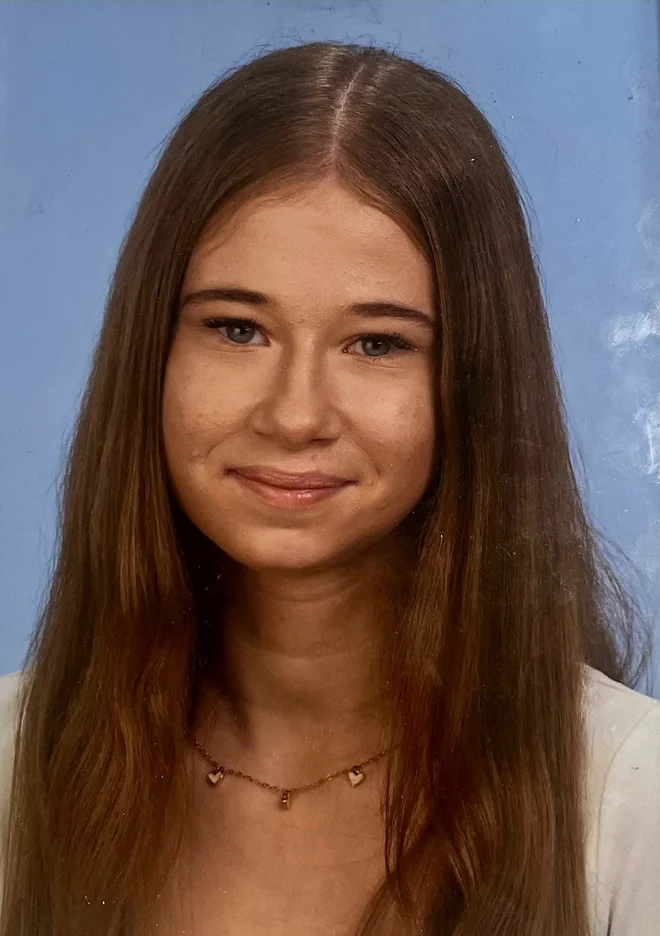 Slika članka