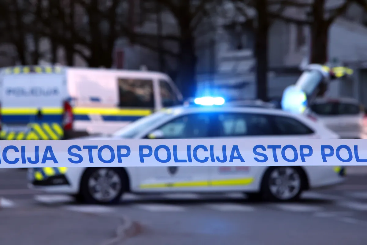 Slika članka