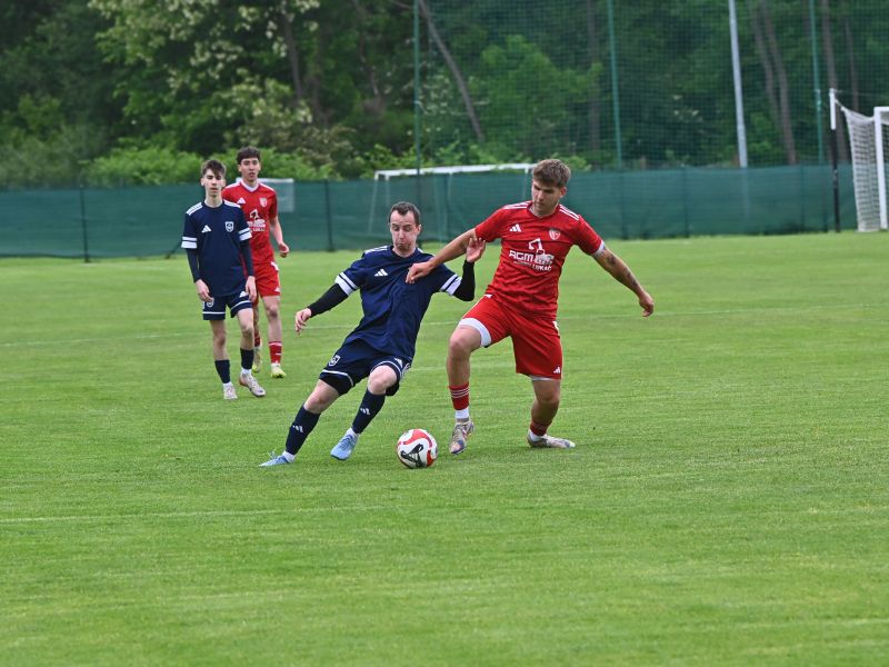 Slika članka