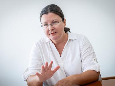 Slika članka