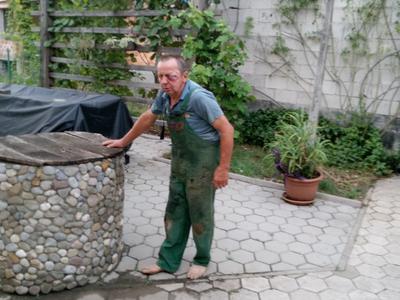Slika članka