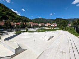 Slika članka