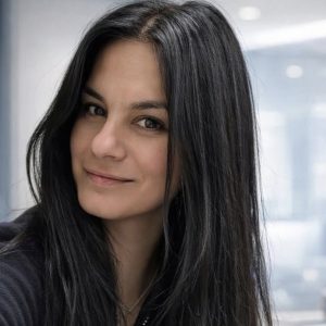 Slika članka