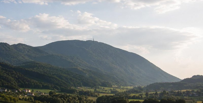Slika članka