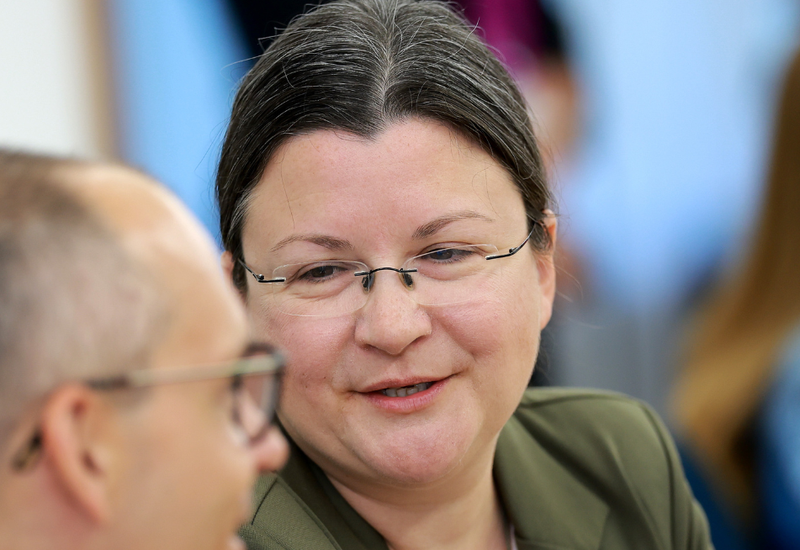 Slika članka
