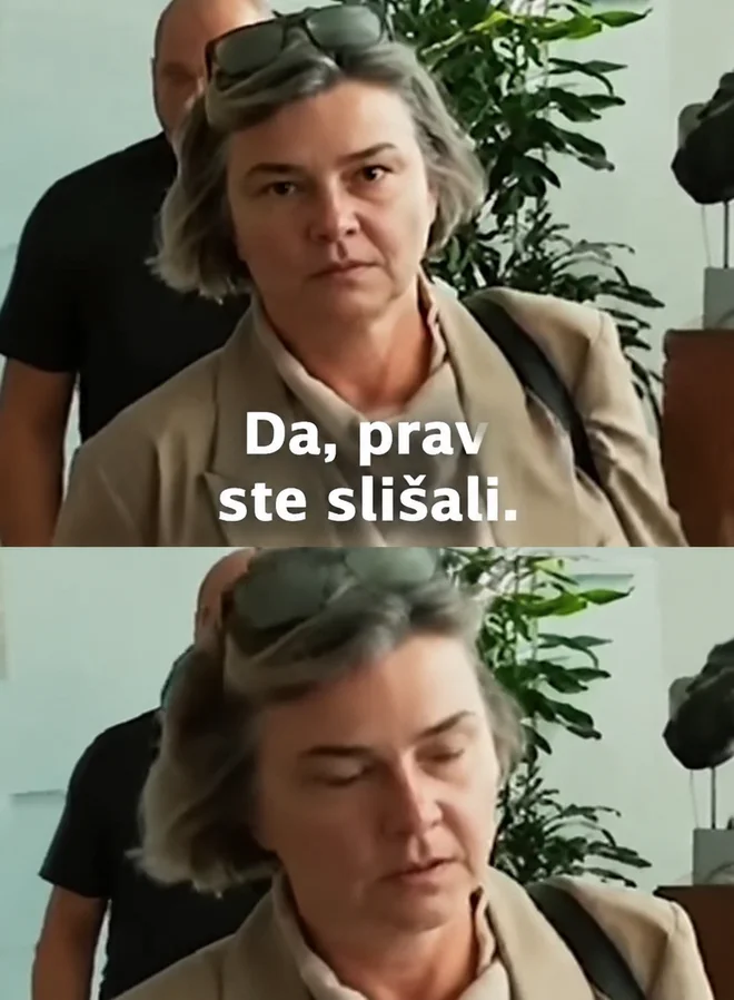 Slika članka