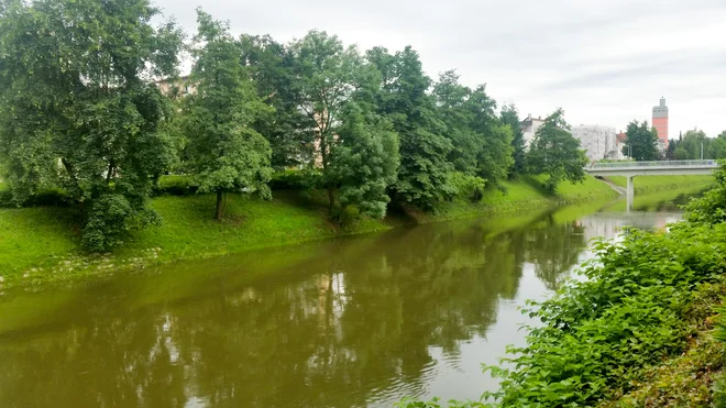 Slika članka