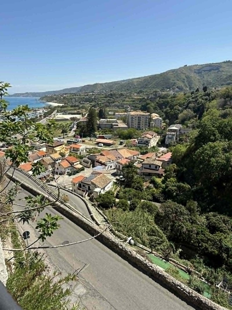 Slika članka