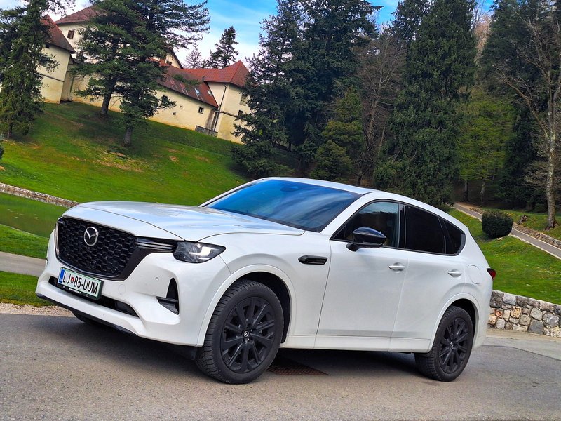 Slika članka