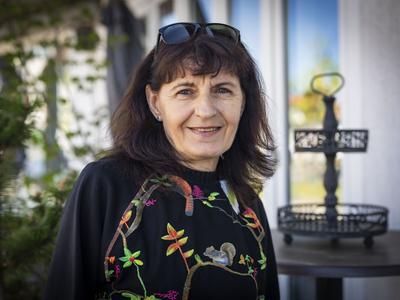 Slika članka