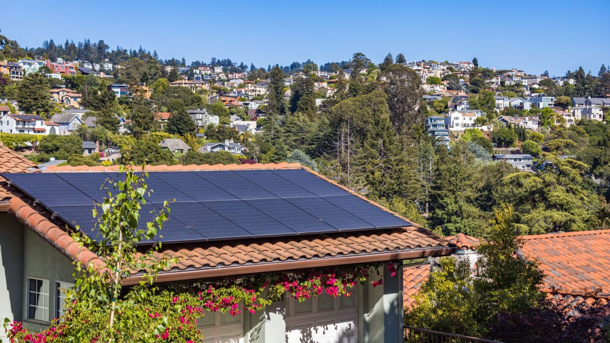 Slika članka