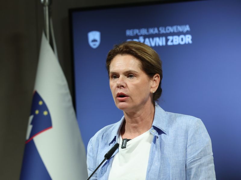 Slika članka