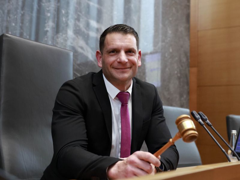 Slika članka