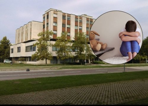 Slika članka