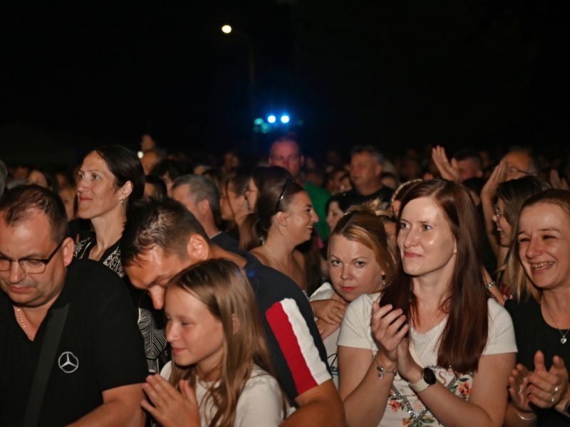 Slika članka