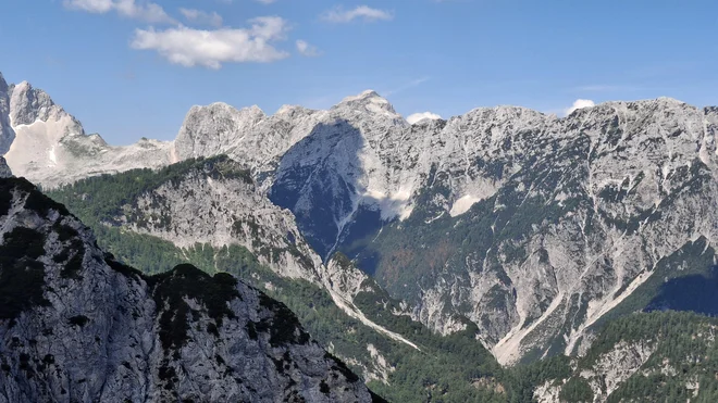 Slika članka
