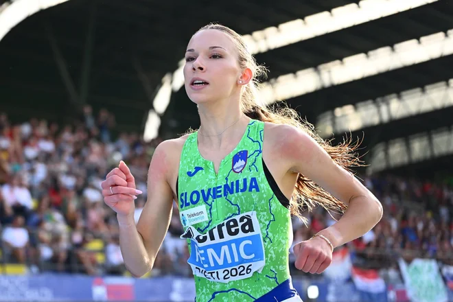 Slika članka