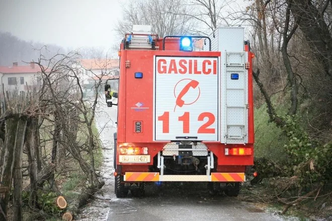 Slika članka