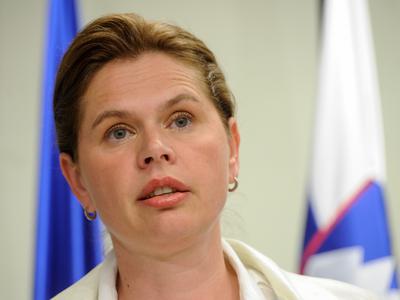 Slika članka