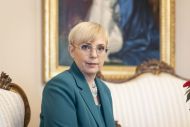 Slika članka